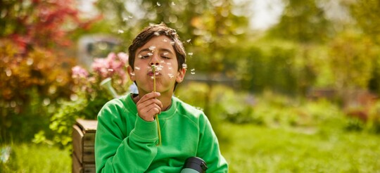 Junge mit Pusteblume: Bei einer Allergie auf Pollen können Halsschmerzen auftreten.