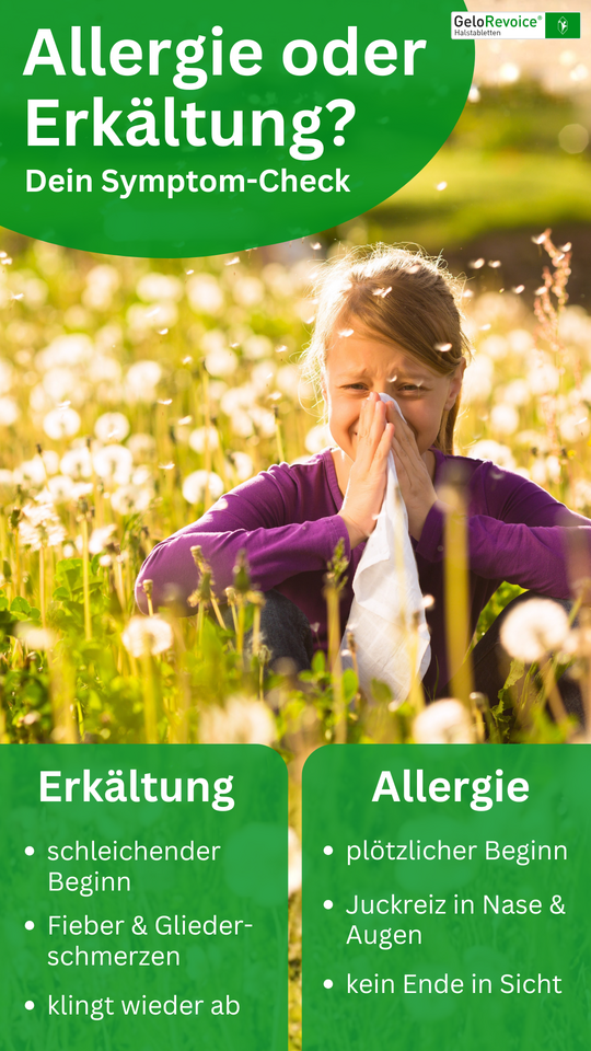 Halsschmerzen durch Allergien? Das hilft dir jetzt | GeloRevoice
