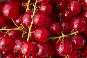 Beeren als Hausmittel gegen Halsschmerzen | gelorevoice.de